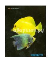 Картинка к книге Silwerhof - Тетрадь 48 листов. Aquarium fish.Клетка (811426-55)