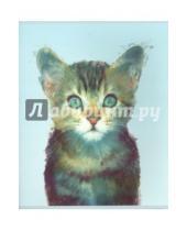 Картинка к книге Incredible Animals - Тетрадь "Kitty", 48 листов, клетка (T-48У-16)