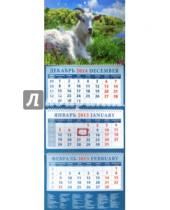 Картинка к книге Календарь квартальный 320х780 - Календарь квартальный на 2015 год "Год козы. Коза на траве" (14518)