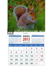Картинка к книге Календарь на магните  94х167 - Календарь магнитный на 2015 год "Белка с желудем" (20515)