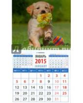 Картинка к книге Календарь на магните  94х167 - Календарь магнитный на 2015 год "Забавный щенок" (20522)