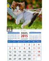 Картинка к книге Календарь на магните  94х167 - Календарь магнитный на 2015 год "Забавный котенок" (20523)