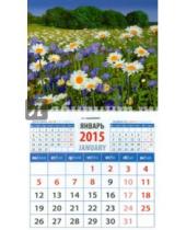 Картинка к книге Календарь на магните  94х167 - Календарь магнитный на 2015 год "Пейзаж с ромашками" (20525)