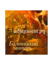 Картинка к книге Альбом с иллюстрациями - Балтийский янтарь. Альбом