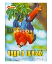Картинка к книге Ю. О. Куронова - Чудо в перьях. Удивительная жизнь птиц