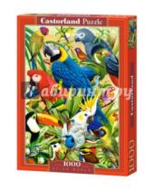 Картинка к книге Puzzle-1000 - Puzzle-1000 "Птичий мир" (C-103041)