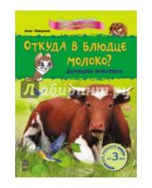 Картинка к книге Анна Макулина - Откуда в блюдце молоко? Домашние животные