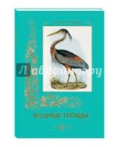Картинка к книге Культура и традиции - Водные птицы