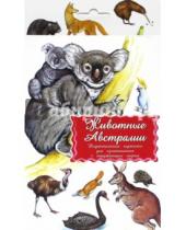 Картинка к книге Маленький Гений-Пресс - Дидактические карточки. Животные Австралии