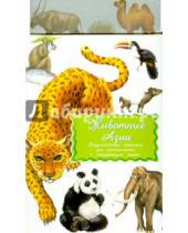 Картинка к книге Маленький Гений-Пресс - Дидактические карточки "Животные Азии"