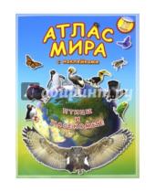 Картинка к книге Атлас Мира с наклейками - Атлас мира с наклейками. Птицы и насекомые