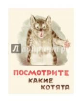 Картинка к книге Владимир Матвеев - Посмотрите какие котята