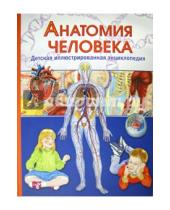 Картинка к книге Винченцо Гуиди - Анатомия человека. Детская иллюстрированная энциклопедия