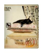 Картинка к книге Альт - Тетрадь общая "Чёрные кошки" (48 листов, клетка, в ассортименте) (7-48-648)