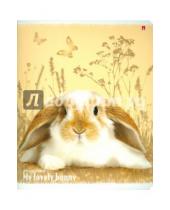 Картинка к книге Альт - Тетрадь общая "Милые крольчата" (48 листов, клетка, в ассортименте) (7-48-668)