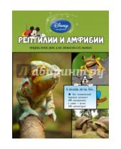 Картинка к книге Disney. Энциклопедия для любознательных - Рептилии и амфибии
