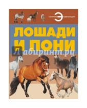 Картинка к книге Анна Ламбина - Лошади и пони