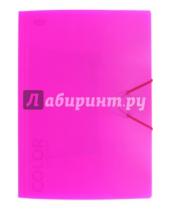Картинка к книге Икспрессо - Папка с клапанами и резинкой "Neon Pink" (85529)