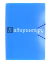 Картинка к книге Икспрессо - Папка с клапанами и резинкой "Neon Blue" (85530)