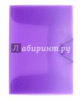 Картинка к книге Икспрессо - Папка  с клапанами и резинкой, фиолетовый полупрозрачный (85550)