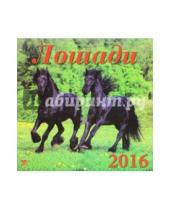 Картинка к книге Календарь настенный 300х300 - Календарь настенный на 2016 год "Лошади" (70603)
