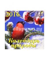 Картинка к книге Календарь настенный 300х300 - Календарь настенный на 2016 год "Календарь природы" (70608)