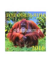 Картинка к книге Календарь настенный 300х300 - Календарь настенный на 2016 год "Год обезьяны" (70618)