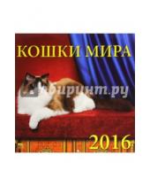 Картинка к книге Календарь настенный 300х300 - Календарь настенный на 2016 год "Кошки мира" (70619)