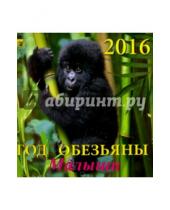 Картинка к книге Календарь настенный 160х170 - Календарь настенный на 2016 год "Год обезьяны. Малыши" (30608)