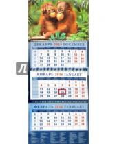 Картинка к книге Календарь квартальный 320х780 - Календарь квартальный на 2016 год "Год обезьяны. Два малыша орангутанга" (14601)