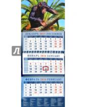 Картинка к книге Календарь квартальный 320х780 - Календарь квартальный на 2016 год "Год обезьяны. Шимпанзе на дереве" (14603)