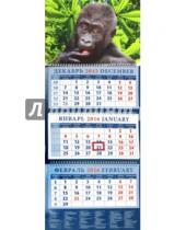 Картинка к книге Календарь квартальный 320х780 - Календарь квартальный на 2016 год "Год обезьяны. Удивленный малыш гориллы" (14607)