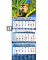 Картинка к книге Календарь квартальный 320х780 - Календарь квартальный на 2016 год "Год обезьяны. Беличья обезьянка (саймири)" (14609)