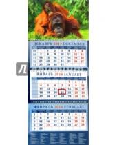 Картинка к книге Календарь квартальный 320х780 - Календарь квартальный на 2016 год "Год обезьяны. Орангутанги - мама с детенышем" (14610)