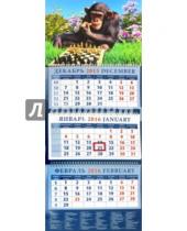 Картинка к книге Календарь квартальный 320х780 - Календарь квартальный на 2016 год "Год обезьяны. Шимпанзе-шахматист" (14623)