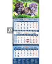 Картинка к книге Календарь квартальный 320х780 - Календарь квартальный на 2016 год "Пушистые котята" (14627)