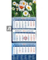 Картинка к книге Календарь квартальный 320х780 - Календарь квартальный на 2016 год "Ромашки с бабочкой" (14646)