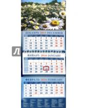 Картинка к книге Календарь квартальный 320х780 - Календарь квартальный на 2016 год "Ромашки" (14663)
