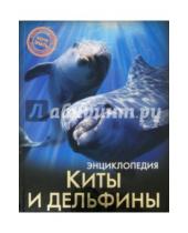 Картинка к книге Михаил Савостин - Киты и дельфины