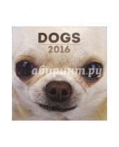 Картинка к книге Presco - Календарь на 2016 год "Собаки", 30х30 см (2933)