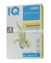 Картинка к книге Mondi business paper - Бумага для печати IQ COLOR MIX INTENSIVE, 5 цветов, 250 листов (RB02)