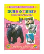 Картинка к книге Обучающие карточки - Обучающие карточки "Животные Южной Америки"