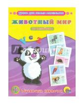 Картинка к книге Обучающие карточки - Обучающие карточки "Животный мир" на английском языке