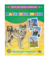 Картинка к книге Обучающие карточки - Обучающие карточки "Млекопитающие"