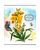Картинка к книге АппликА - Тетрадь общая "Цветы и бабочки" (48 листов, линия) (С2549-16)