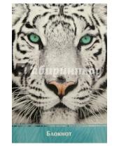 Картинка к книге Феникс+ - Блокнот "Взгляд тигра" (А5, 60 листов) (41135)