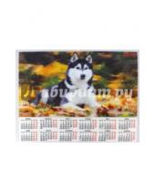 Картинка к книге Arte Nuevo - 2016 Календарь настенный 3D "Собака" 43х52 (3DCL-Dog)