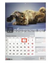 Картинка к книге Arte Nuevo - 2016 Календарь перекидной 3D "Кошка" 31,5х39 (3DC-3-Cat)