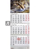 Картинка к книге Arte Nuevo - 2016 Календарь квартальный 3D "Кошка" 31,5х75 (3DC-5-Cat)