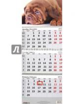 Картинка к книге Arte Nuevo - 2016 Календарь квартальный 3D "Щенок" 31,5х75 (3DC-5-Dog)